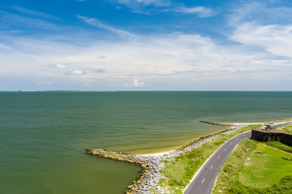 Quels sont les meilleurs spots pour une plongée avec les dauphins à Hawaï ?